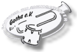 Logo-FSO